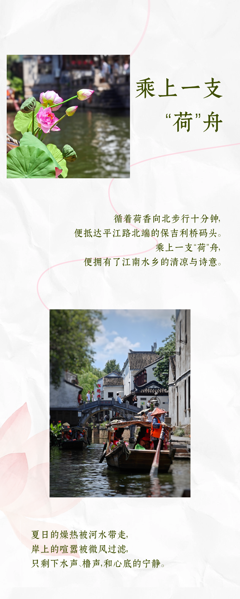荷香满平江｜摇进古城的江南夏梦
