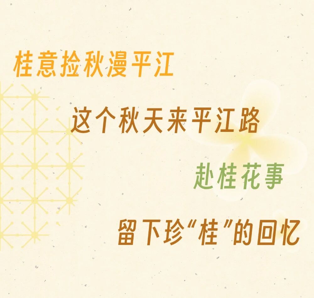 桂意捡秋漫平江｜邀您共赴平江路的秋天