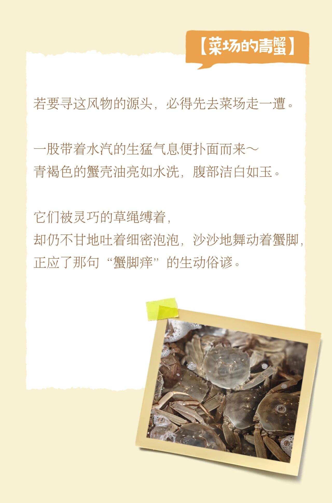 入冬的平江路，把第一口温柔留给大闸蟹