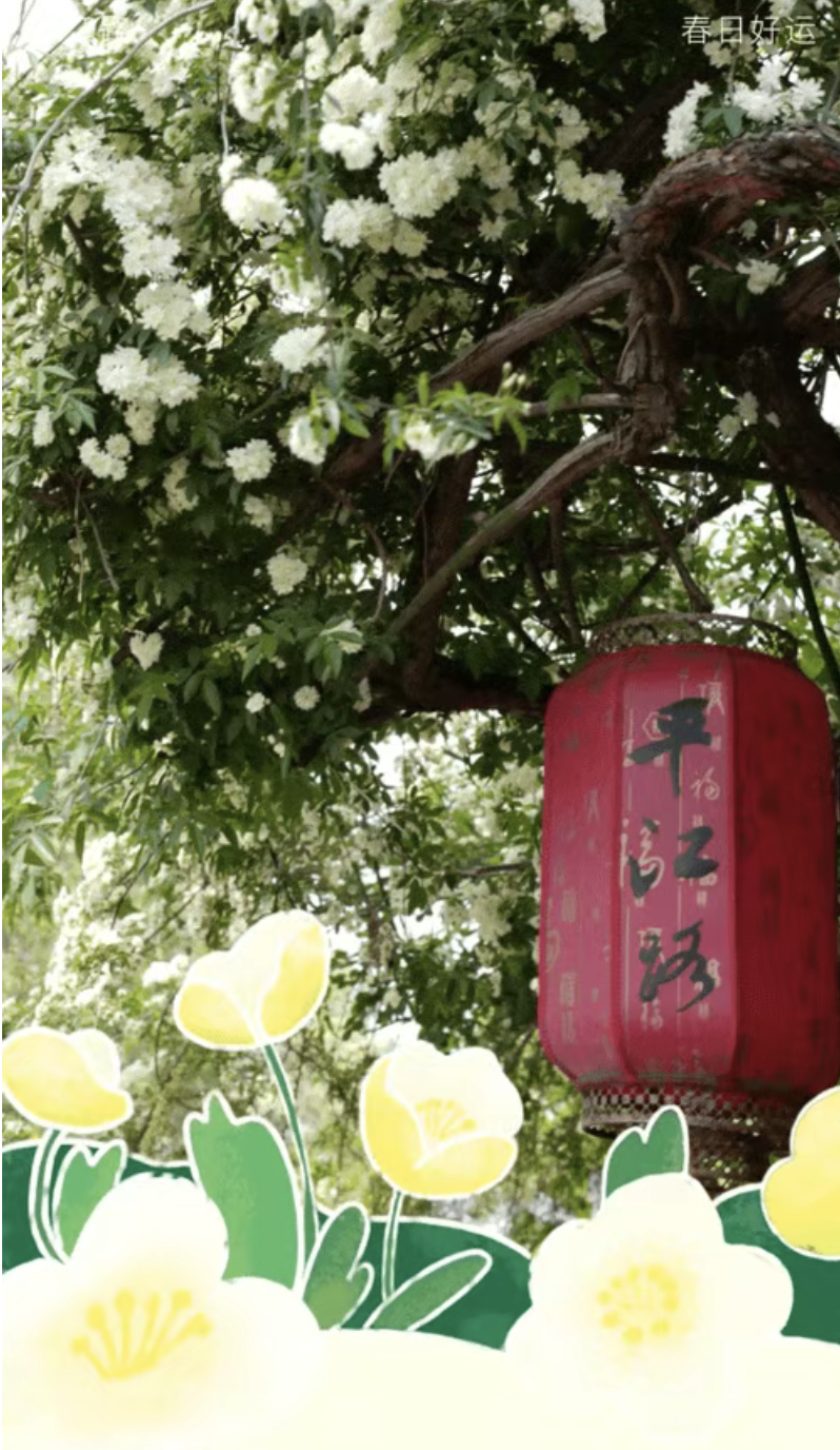 走啊，趁春假，去平江路逛春天！
