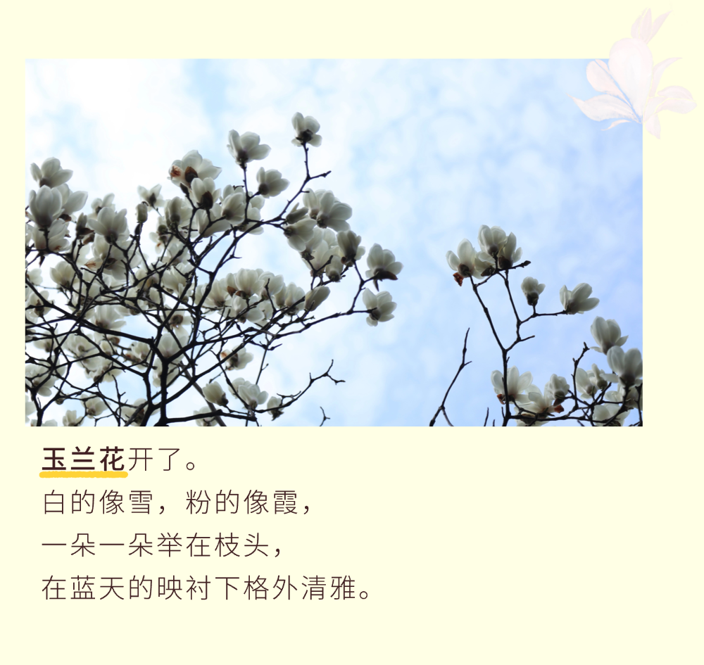 走啊，趁春假，去平江路逛春天！